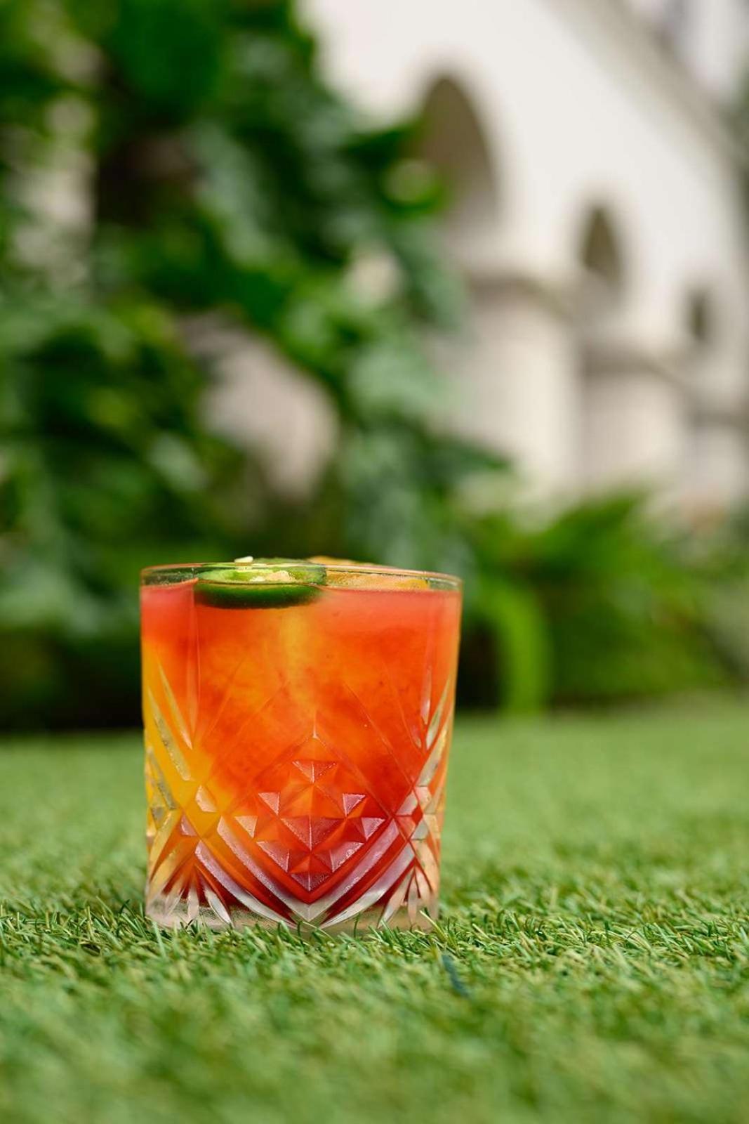 圣安东尼奥北方之星-希尔顿启缤精选酒店 外观 照片